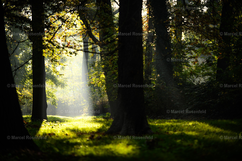 _DSC9637 | foto-rosenfeld