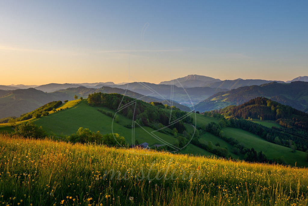 Morgenstimmung Hochkogelberg mit Ötscherblick Randegg | Bei Veröffentlichung des Bildes ist eine Namensnennung wie folgt erforderlich: 
Foto: Mostdirn Irmgard Wieser - Realisiert mit Pictrs.com