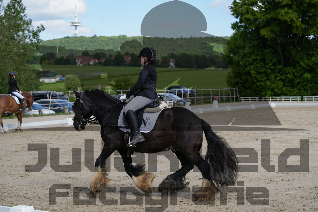 DSC03116 | Julian Held Fotografie - Realisiert mit Pictrs.com