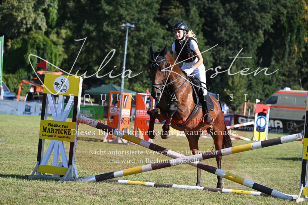 DSC_5153 | Pferde- und Turnierfotografie in Westsachsen. Pferdeportraits, Auftragszeichnungen und intuitive Kunst.