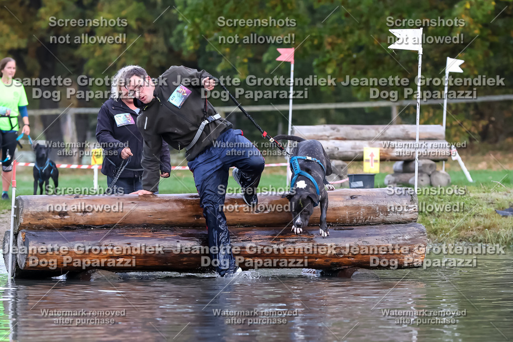 Dog Paparazzi - Strongdog 10-25-6582 | Dog Paparazzi Jeanette Grottendiek Fotografie & Videografie - Realisiert mit Pictrs.com