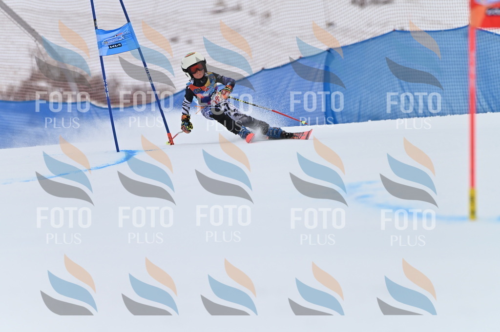 BGV_1713 | holidayphoto