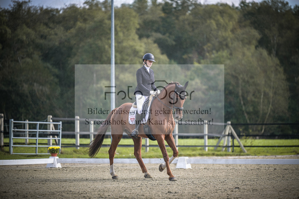 DOS_B671 | Entdecke hochwertige Reitturnierfotos von Foto Oger. Professionell, emotional und authentisch – jetzt Lieblingsmomente im Shop bestellen.Deutschlandweite Turnierfotografie. - Realisiert mit Pictrs.com
