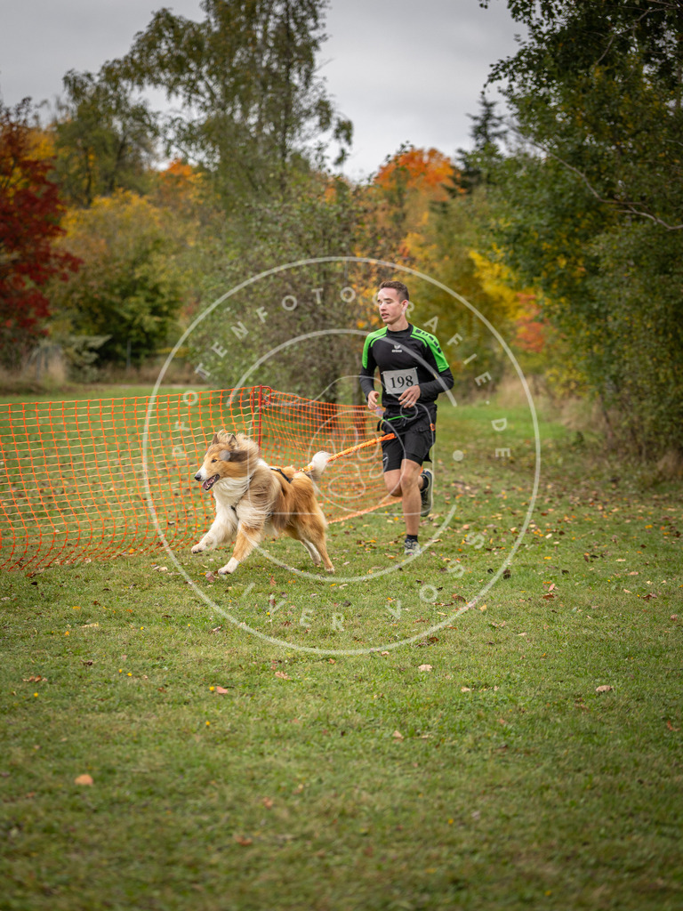 Pfotenfotografie_DV3A3842 | Hundefotografie, Tierfotograf, Pfotenfotografie, Fotoshooting Hund, Hunde Portrait, Hundesport, Hundeportraits, Heideshooting, Hunde, Sportfotograf, Hundefotograf, Turnierhundsport, THS,  - Realisiert mit Pictrs.com