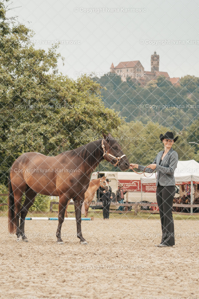 DSC03277 | ikphotography - Realisiert mit Pictrs.com