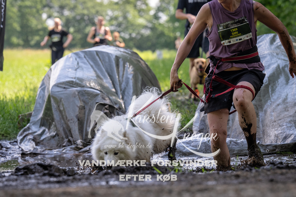 1154_ZZ90180 | kk-dogfotos
