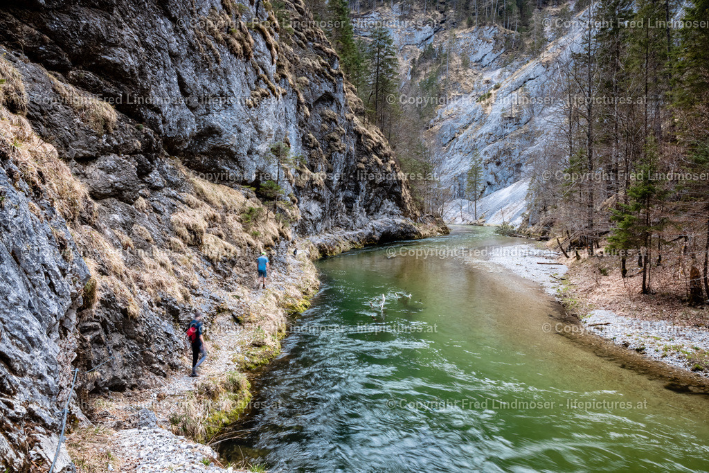 Klausgraben Salzatal Mariazellerland 01052021-3488 | Fotos und Fotoprodukte - Realisiert mit Pictrs.com