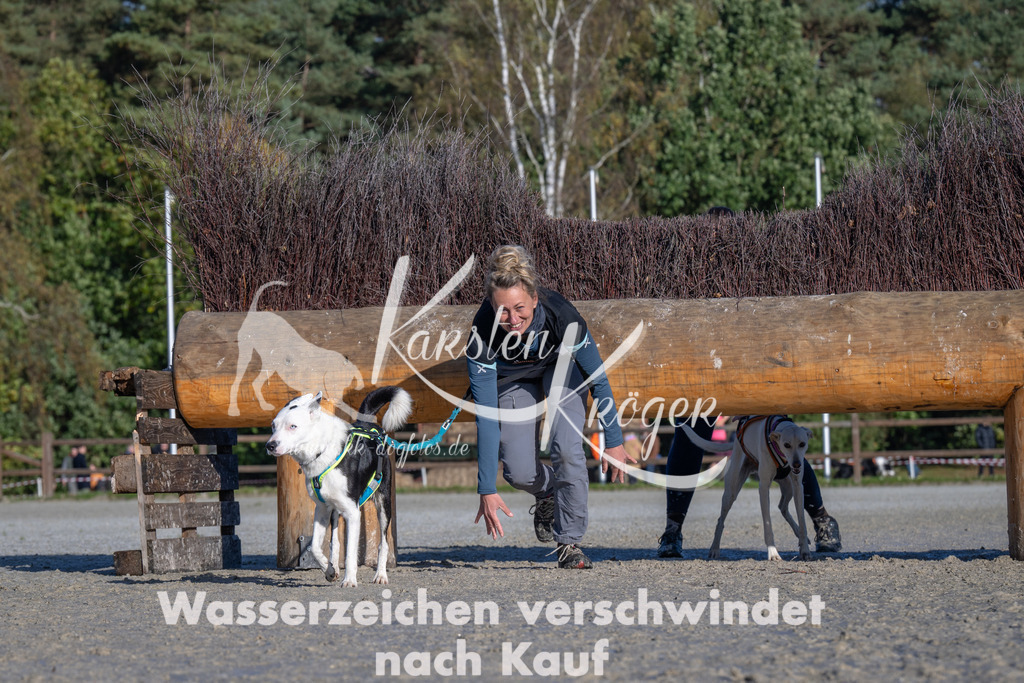 1045-_ZZ92435 | kk-dogfotos