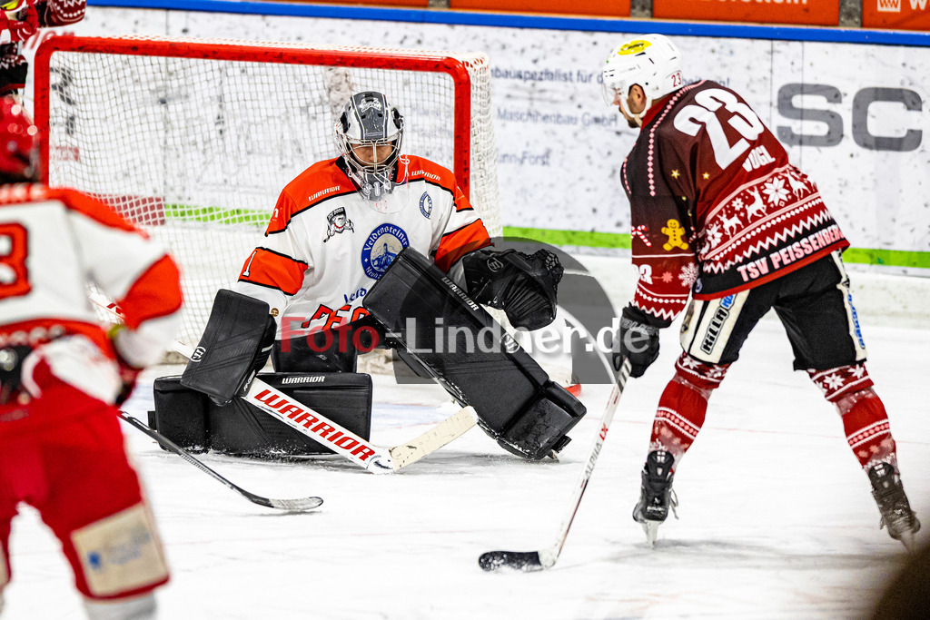 C1DX7851 | Shop für Sportfotografie, Bilddatenbank, Pressefotografie, Fußball, Eishockey, Aktionsfotos