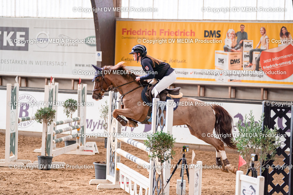 Kranichstein II Tag 2-281 | dv-media-shop - Realisiert mit Pictrs.com