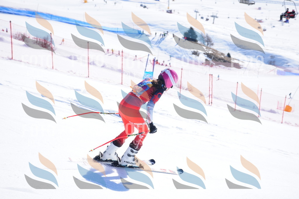 DSC_3605 | holidayphoto