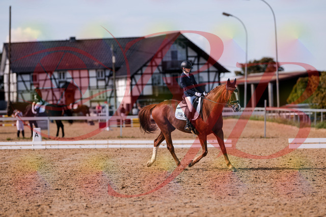 2026_10_03_Siefer-Hof_133156_Z81_87420883 | Professionelle Reitsport-, Turnier- und Eventfotografie von Robert Broda. Galerien mit ausgewählten und bearbeiteten Bildern direkt online ansehen und bestellen.