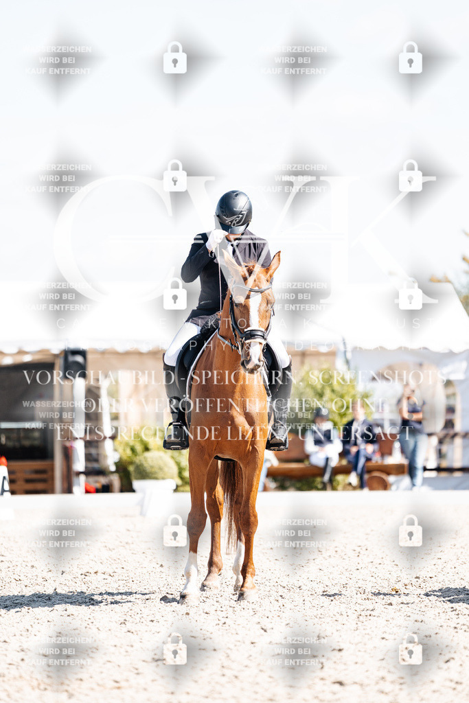 CK903274 | Turnierfotografie Pferdefotografie Trier Rheinland-Pfalz Pferdesport Reitsport Tierfotografie Sportfotografie Pferdevideo Pferdevideografie Equestrianvideography equestrianphotography  - Realisiert mit Pictrs.com