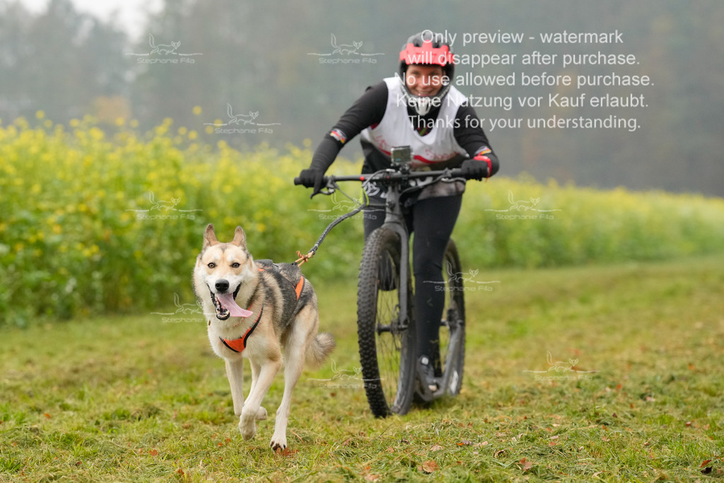 Visbeck_Sa_Scooter_Hc-79 | stephaniefillaphotographie - Realisiert mit Pictrs.com