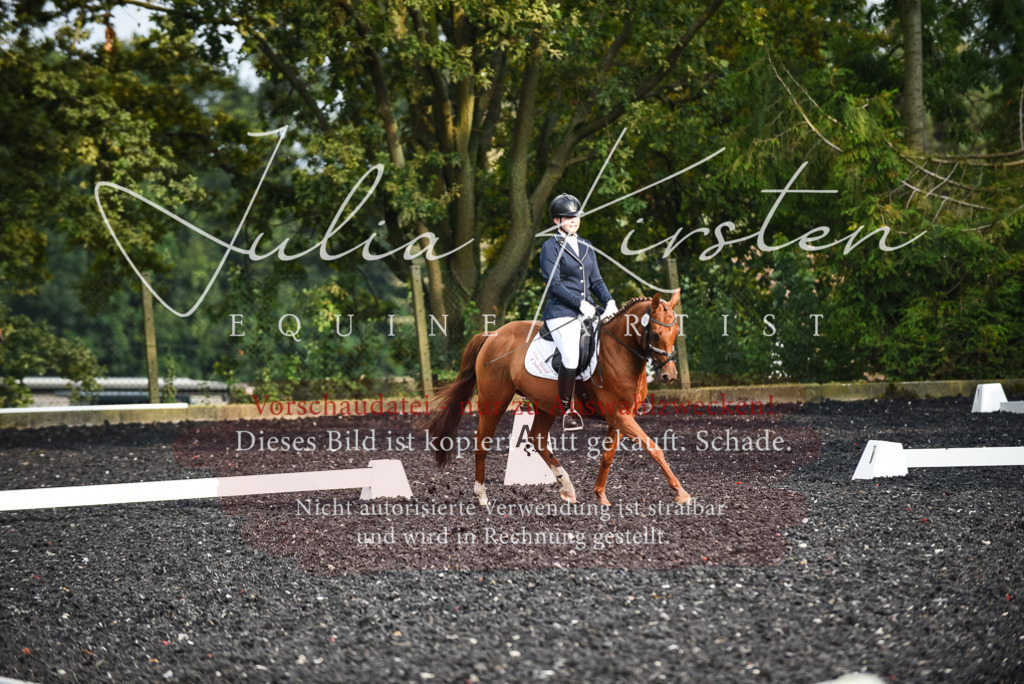 DSC_3462 | Pferde- und Turnierfotografie in Westsachsen. Pferdeportraits, Auftragszeichnungen und intuitive Kunst.