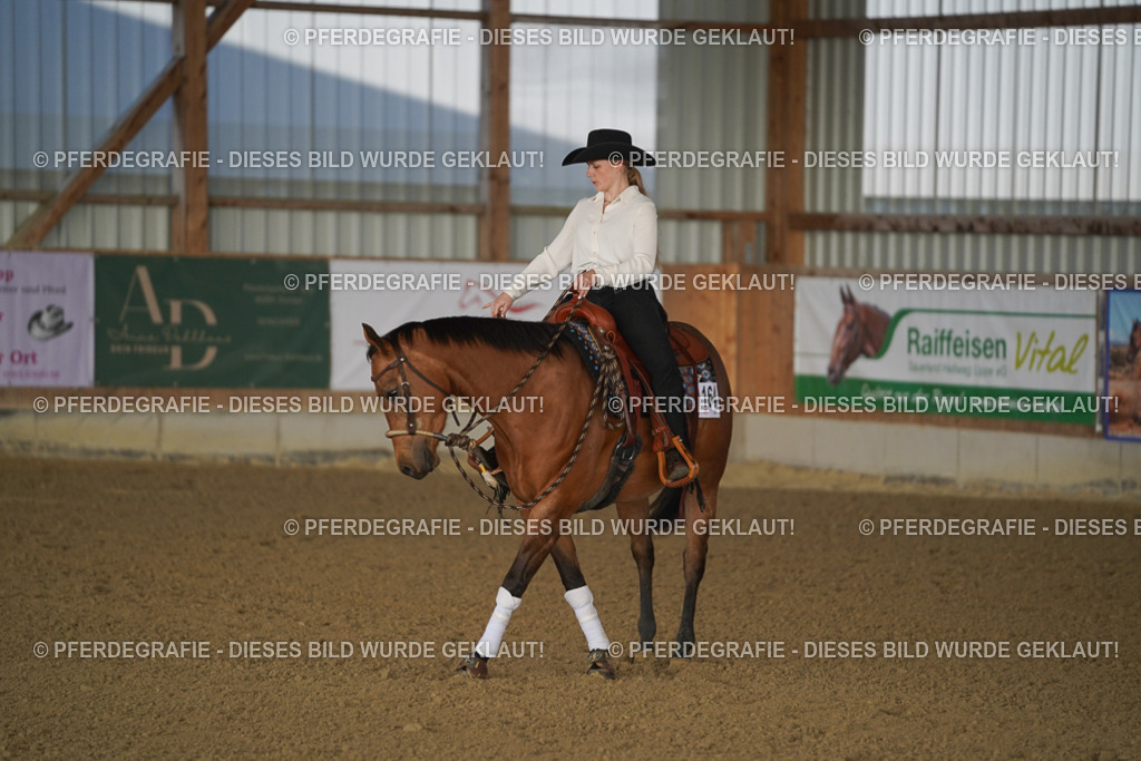 DSC08651 | Pferdegrafie