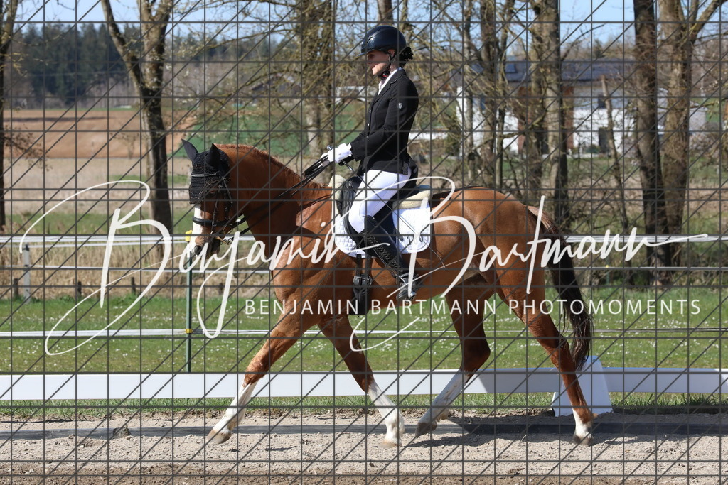 AZ2A4808 | Benjamin Bartmann Photomoments