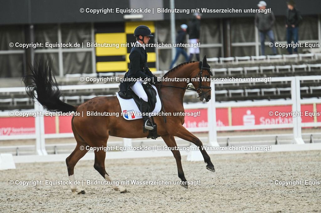 20230512_CCI4_Dressur_0359 | equistock
