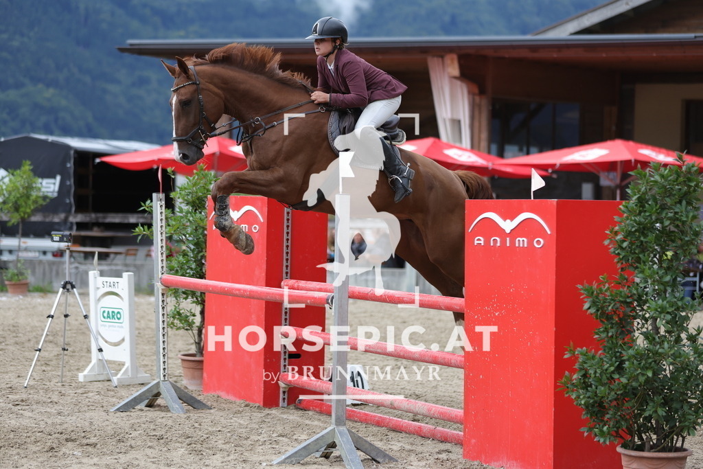 0P6A2578 | Willkommen bei Brunnmayr - Design & Fotografie – Ihrem Spezialisten für Reitturniere und Pferdeveranstaltungen in Oberösterreich, Salzburg und Bayern! Seit über 17 Jahren sind wir leidenschaftlich dabei.