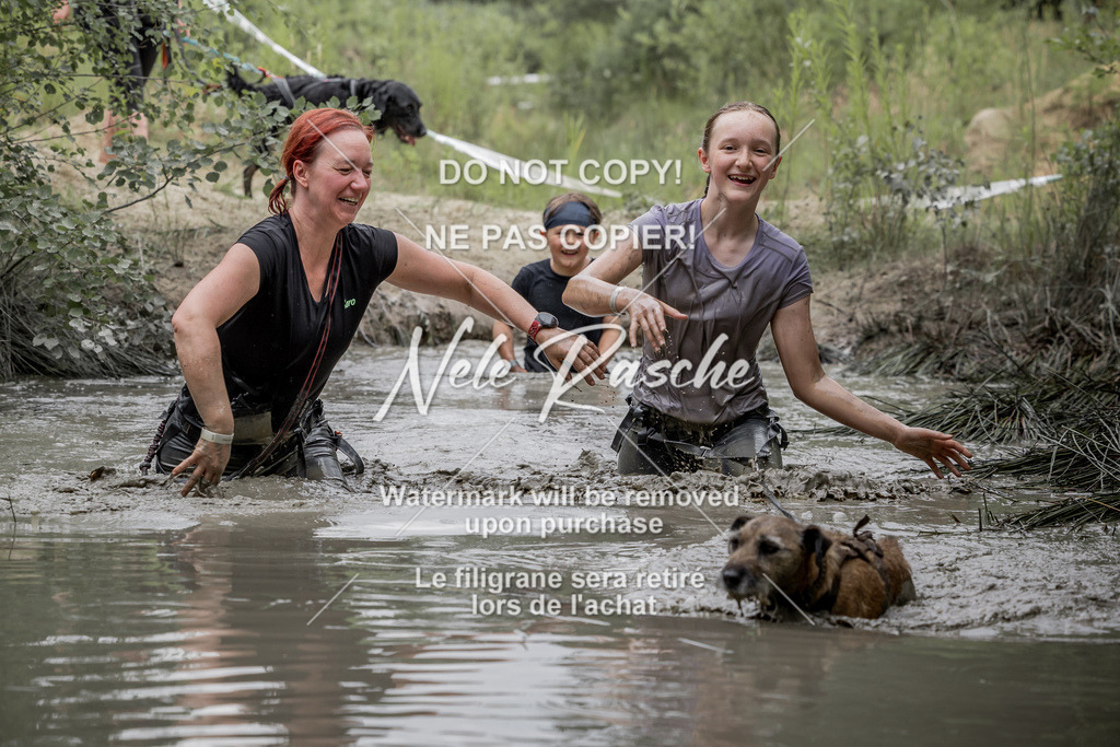 nelerasche_so1445-1515_147 | nelerasche