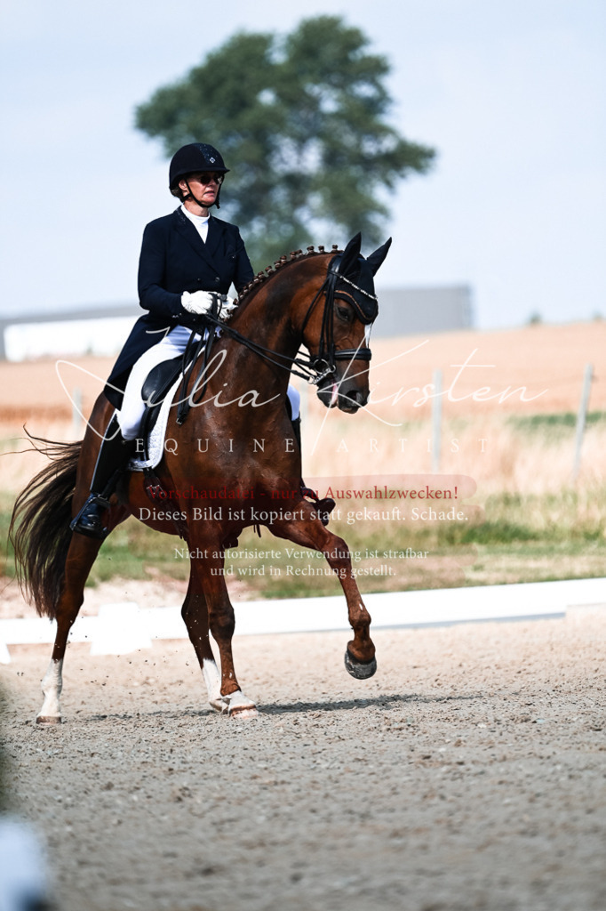 DSC_3206 | Pferde- und Turnierfotografie in Westsachsen. Pferdeportraits, Auftragszeichnungen und intuitive Kunst.