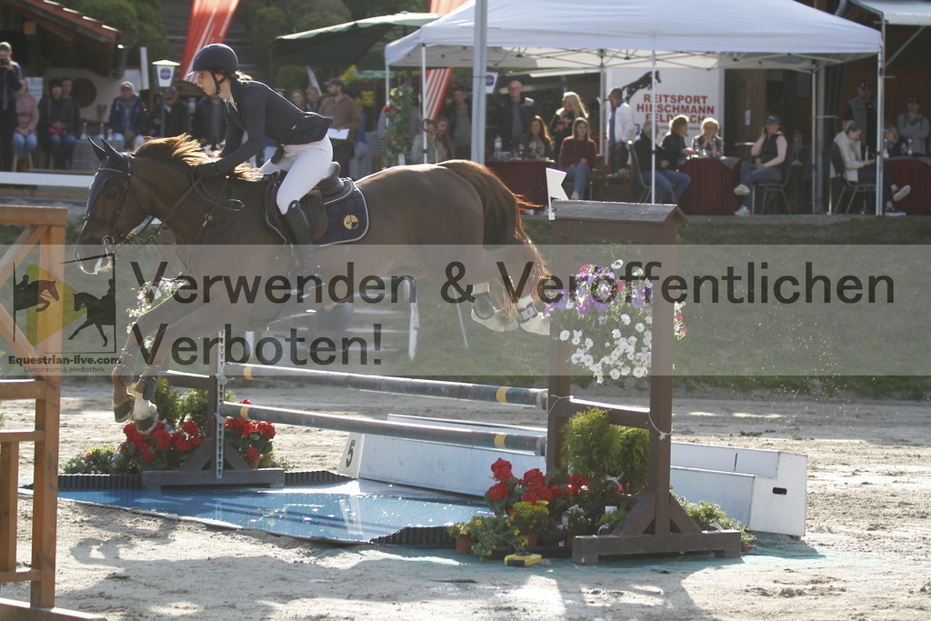 _MG_1337 | equestrian-live-com