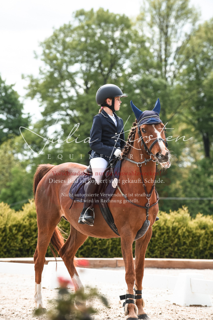 20230518_JK-Röhrsdorf-10-047 | Pferde- und Turnierfotografie in Westsachsen. Pferdeportraits, Auftragszeichnungen und intuitive Kunst.