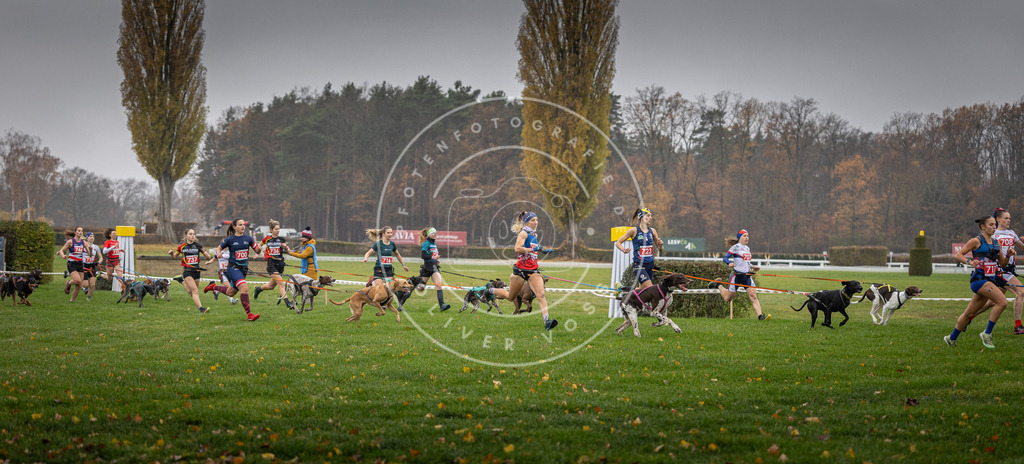CaniXpix_DV3A8770 | Hundefotografie, Tierfotograf, Pfotenfotografie, Fotoshooting Hund, Hunde Portrait, Hundesport, Hundeportraits, Heideshooting, Hunde, Sportfotograf, Hundefotograf, Turnierhundsport, THS,  - Realisiert mit Pictrs.com