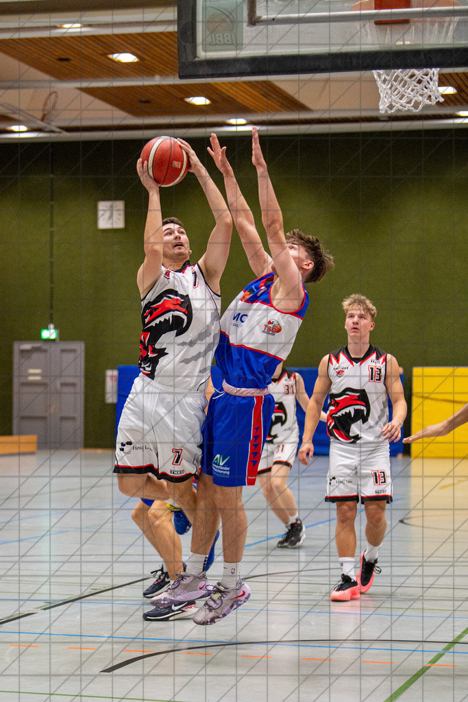 2. RL West | 05.10.2024 | Bad Essen vs. TSG Westerstede 2 | 2. RL West | 05.10.2024 | Bad Essen vs. TSG Westerstede 2 - - - - - CREDIT, www.bullenfotos.de, Martin König, Hörner Weg 40, D-49078 Osnabrück, +4917663732967, Nutzung und Weitergabe nur zu den vereinbarten Zwecken. Presseanfragen an Ersteller. Alle Rechte beim Ersteller. - - - - - - Realisiert mit Pictrs.com