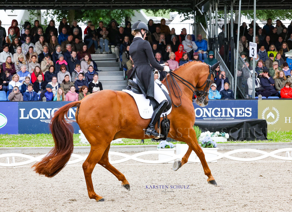 1B3A8528 | Reitsport Reiten