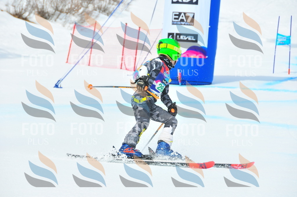 DSC_2428 | holidayphoto