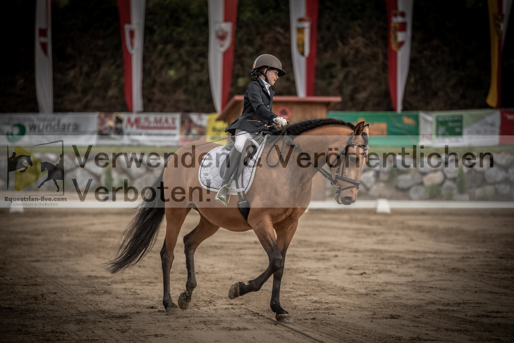 DSC_8388 | equestrian-live-com