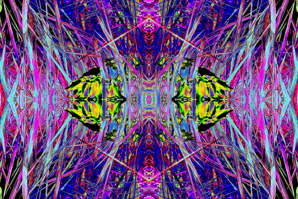 Eine Wiese | Moderne Digital Art – Exklusive Kunstwerke für dein Zuhause
Entdecke einzigartige Digital Art und verleihe deinen Räumen eine moderne und stilvolle Atmosphäre. Unsere hochwertigen Kunstdrucke kombinieren innovative Technik mit künstlerischer Kreativität und bringen abstrakte, geometrische und futuristische Designs direkt an deine Wand.
✔ Hochauflösende Drucke in brillanten Farben
✔ Exklusive Motive von talentierten Digital Artists
✔ Verschiedene Formate für jeden Raum und Stil
✔ Perfekt als Wandkunst für Wohnzimmer, Büro oder Galerie
Lass dich von unserer modernen, abstrakten und minimalistischen Kunst inspirieren und finde dein neues Lieblingsmotiv! Jetzt bestellen und dein Zuhause mit hochwertiger Digital Art verschönern.
 - Realisiert mit Pictrs.com