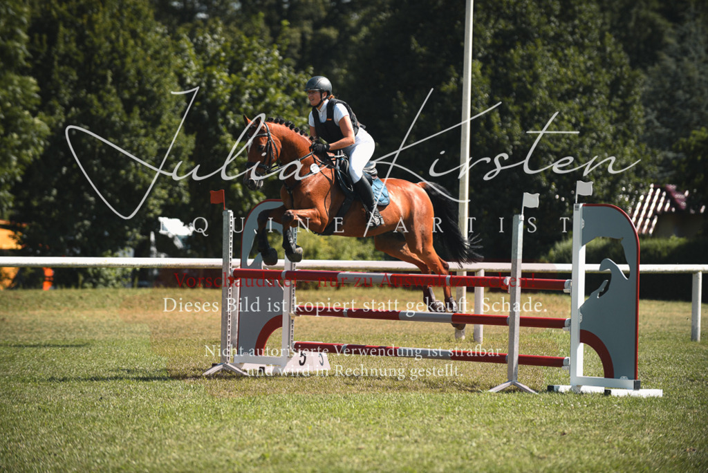 DSC_6951 | Pferde- und Turnierfotografie in Westsachsen. Pferdeportraits, Auftragszeichnungen und intuitive Kunst.