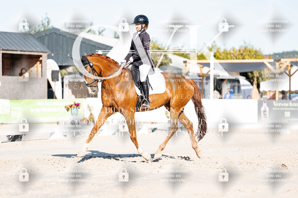CK907165 | Turnierfotografie Pferdefotografie Trier Rheinland-Pfalz Pferdesport Reitsport Tierfotografie Sportfotografie Pferdevideo Pferdevideografie Equestrianvideography equestrianphotography  - Realisiert mit Pictrs.com