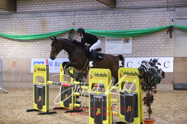 IMG_0929 | Turnierfotos kaufen im Webshop von Daniel Kuhl Photography – entdecke professionelle Reitsportfotos aus Turnieren & Events. Hochwertige Turnierbilder online bestellen & sichern. Jetzt Fotos von Reitsportturnieren kaufen!