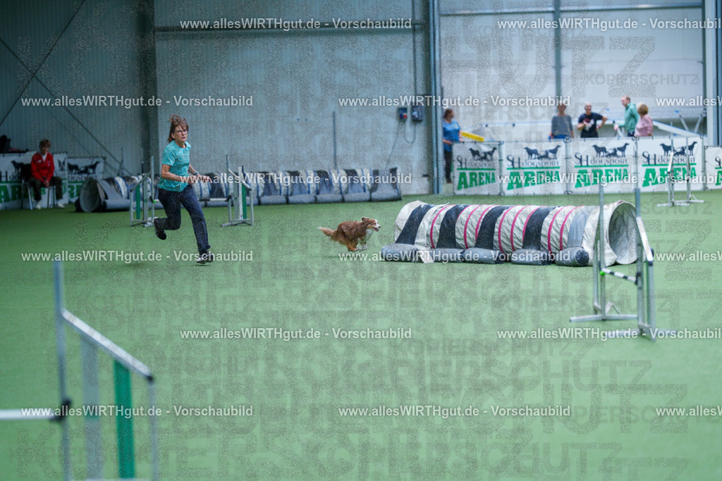 @allesWIRTHgut_Tierfotografie - www.allesWIRTHgut.de - 2604261219-7R500689 | Professionelle Tierfotografie in Mönchengladbach von Daniel Wirth (allesWIRTHgut). Liebevolle & natürliche Bilder von Hunden & Katzen für unvergessliche Erinnerungen.