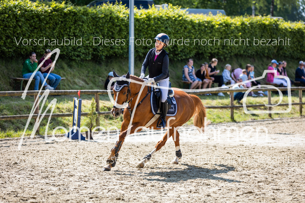 Donop24-SprRW-045 | MomenTaufnahmen Pferdesportfotos