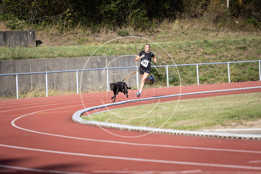 Pfotenfotografie_DV3A9505 | Hundefotografie, Tierfotograf, Pfotenfotografie, Fotoshooting Hund, Hunde Portrait, Hundesport, Hundeportraits, Heideshooting, Hunde, Sportfotograf, Hundefotograf, Turnierhundsport, THS,  - Realisiert mit Pictrs.com