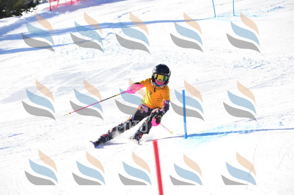 C5812 | holidayphoto