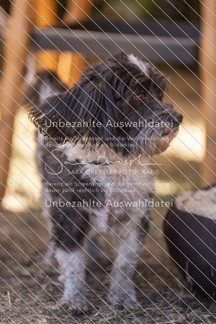 LR261_SD_06422 | saradresslerfotografie - Realisiert mit Pictrs.com