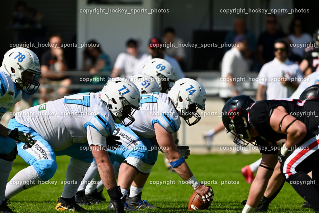 Carinthian Lions vs. Styrian Bears | Carinthian Lions vs. Styrian Bears, Carinthian Lions vs. Styrian Bears am 20.05.2024 in Klagenfurt (ASV Sportplatz), Austria, (Photo by Bernd Stefan)