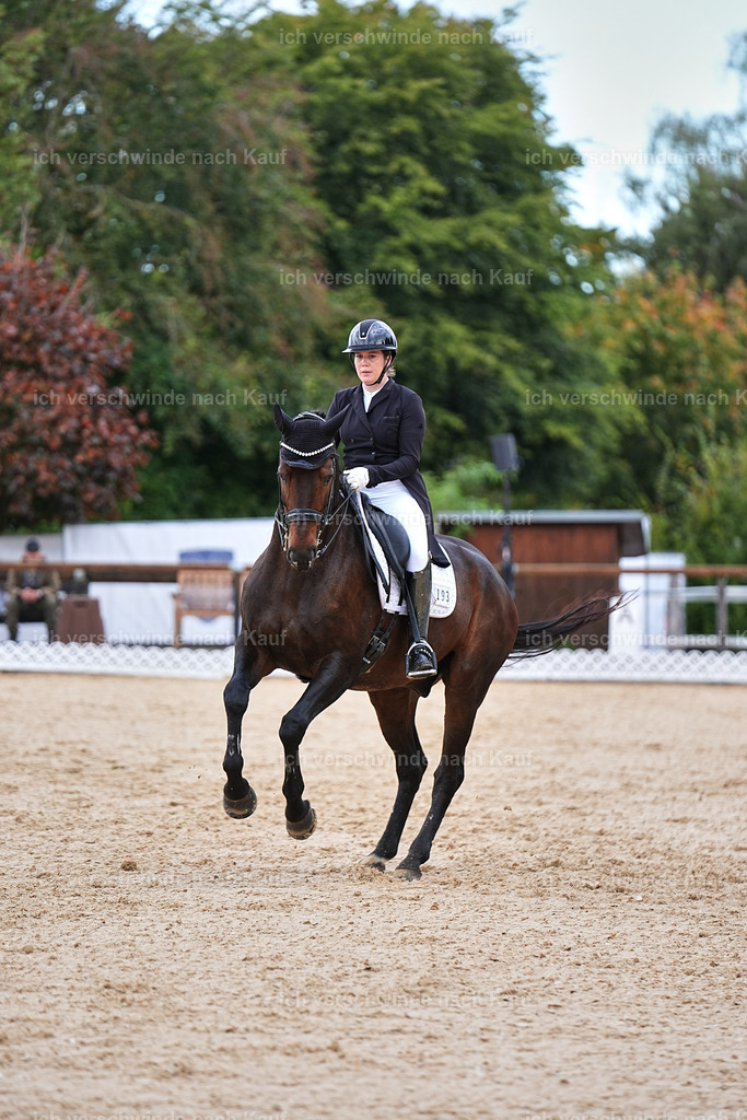 10-193-ST.GEORG SPECIAL -Marixx-3389 | working equitationturnier fotograf videograf stoibphotography marixx film working equitation deutschland reitsport turnierfotografie eventfotografie equestrian events