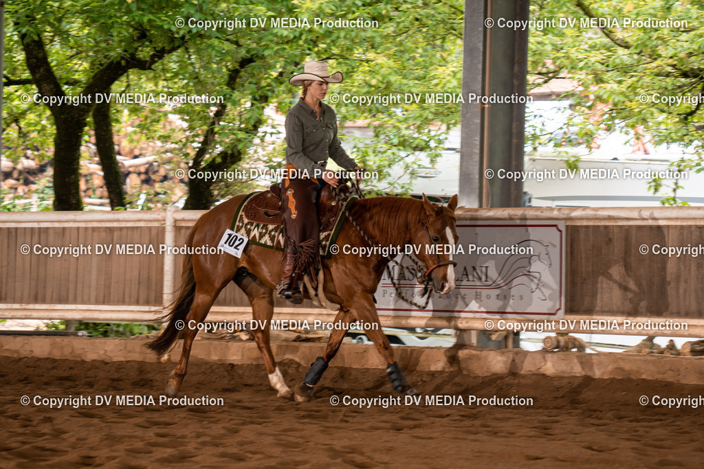 Erbach Tag 4-557 | dv-media-shop - Realisiert mit Pictrs.com