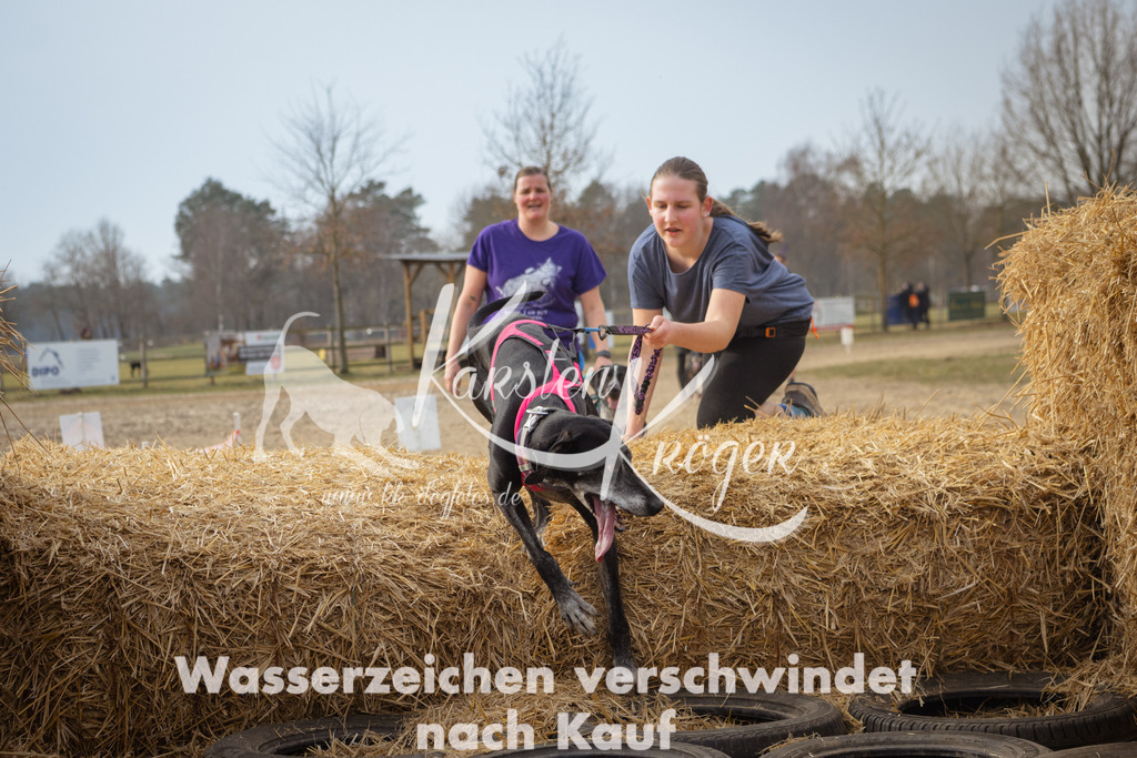 1039_ZZ97200 | kk-dogfotos