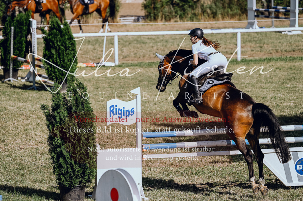DSC_2064 | Pferde- und Turnierfotografie in Westsachsen. Pferdeportraits, Auftragszeichnungen und intuitive Kunst.