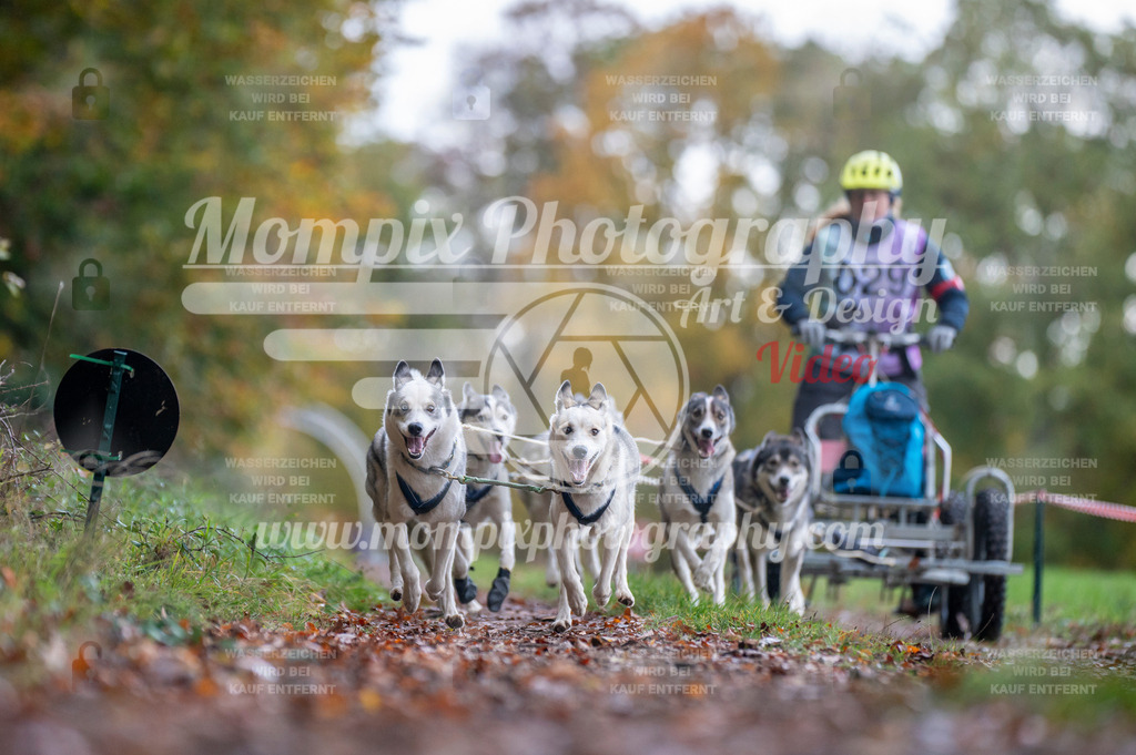 DBT_DAKM_SA_4_11_2023_Kart-6 | PayLife