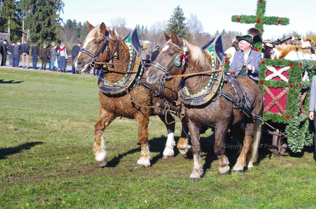 IMGP7626 | fotografiert von Axel PollmannLeonhardi Wallfahrt Benediktbeuern und Murnau, Fronleichnam, Fasching, Landschaft im Loisachtal und Benediktbeuern  - Realisiert mit Pictrs.com