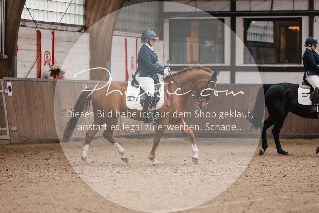 3I6A7123 | Stimmungsvolle Portraits und Reitsportfotografie im Ruhrgebiet und im Münsterland.

Pferdefotografie, Hundefotografie, Tierfotografie, Reportagen, Portraits von Tier und Mensch, Turnierfotografie in Bochum, Recklinghausen, Marl, Haltern am See, Dülmen.. - Realisiert mit Pictrs.com