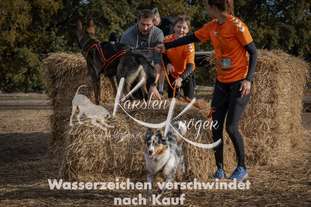 1032_ZZ98587 | kk-dogfotos